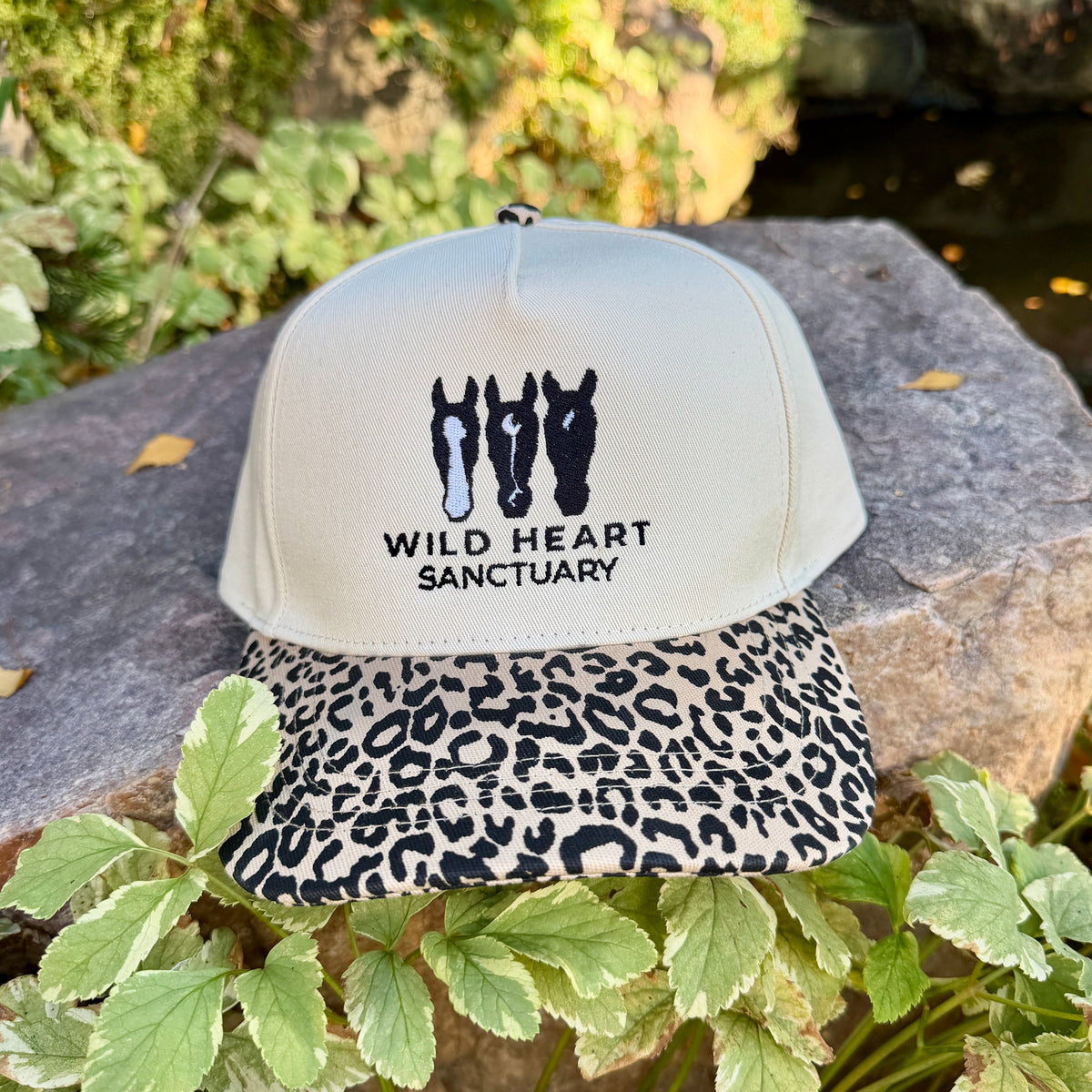 Embroidered Hats- Wild Heart Sanctuary Leopard brim