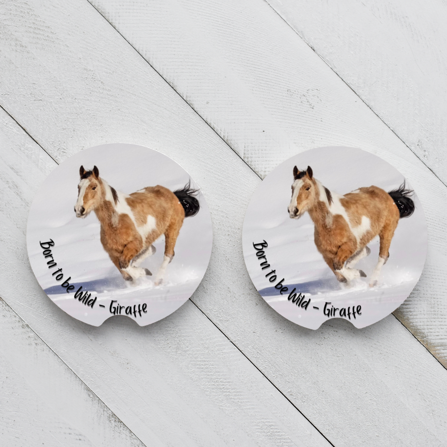 Car Coasters - Wild Ones -Wild Heart Sanctuary