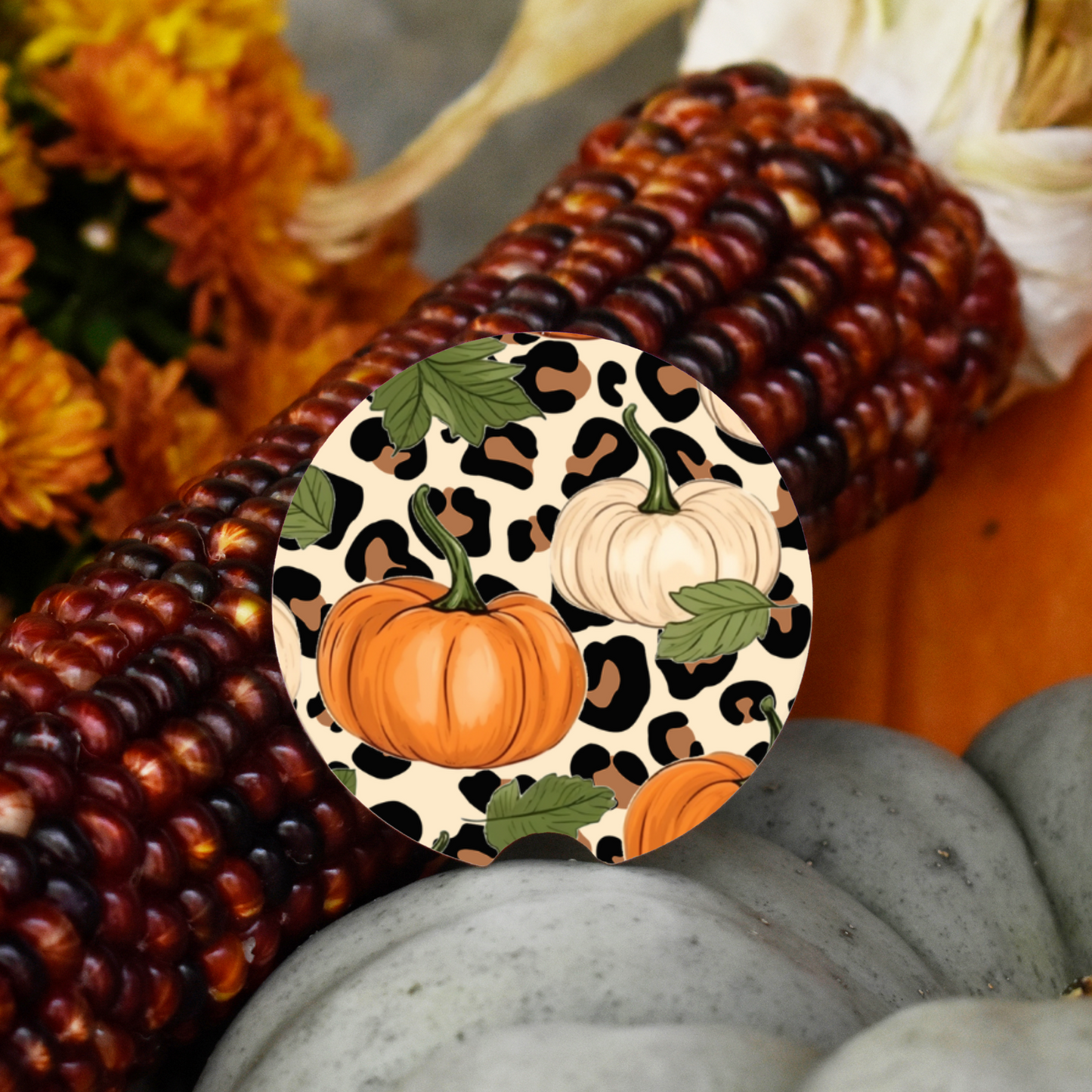 Ceramic Car Coaster Set - Leopard & Pumpkins