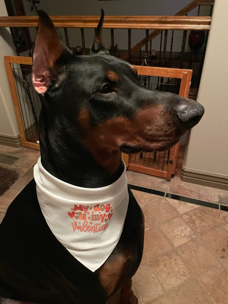 Dog Bandana - My dog is my valentine