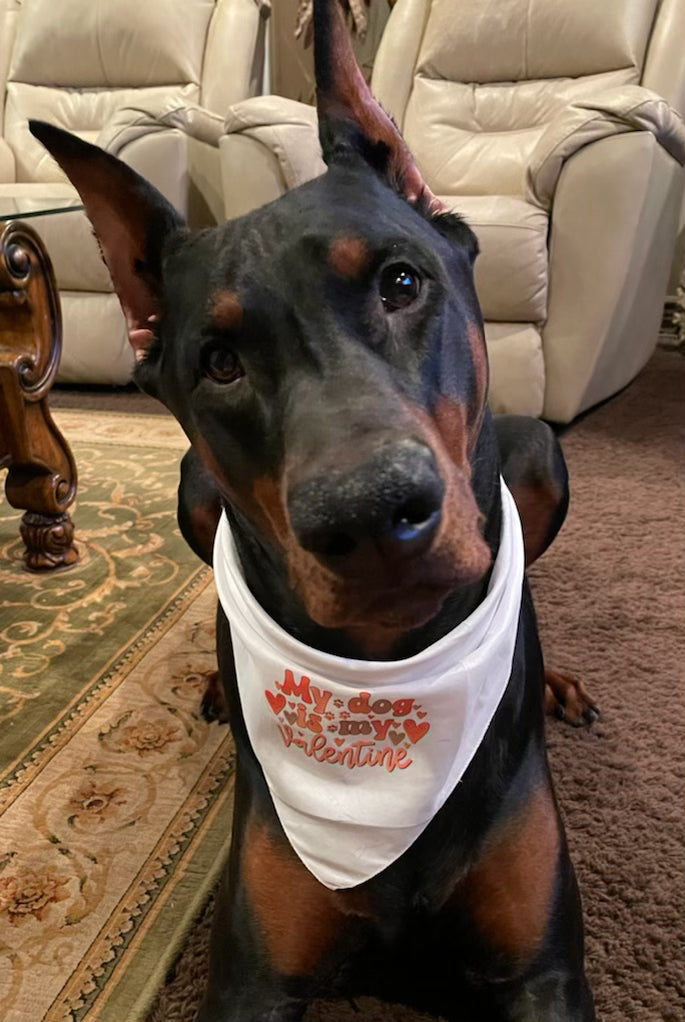 Dog Bandana - My dog is my valentine